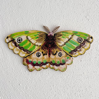 **NEW!** Emperor Moth Wooden Wall Art Decoration