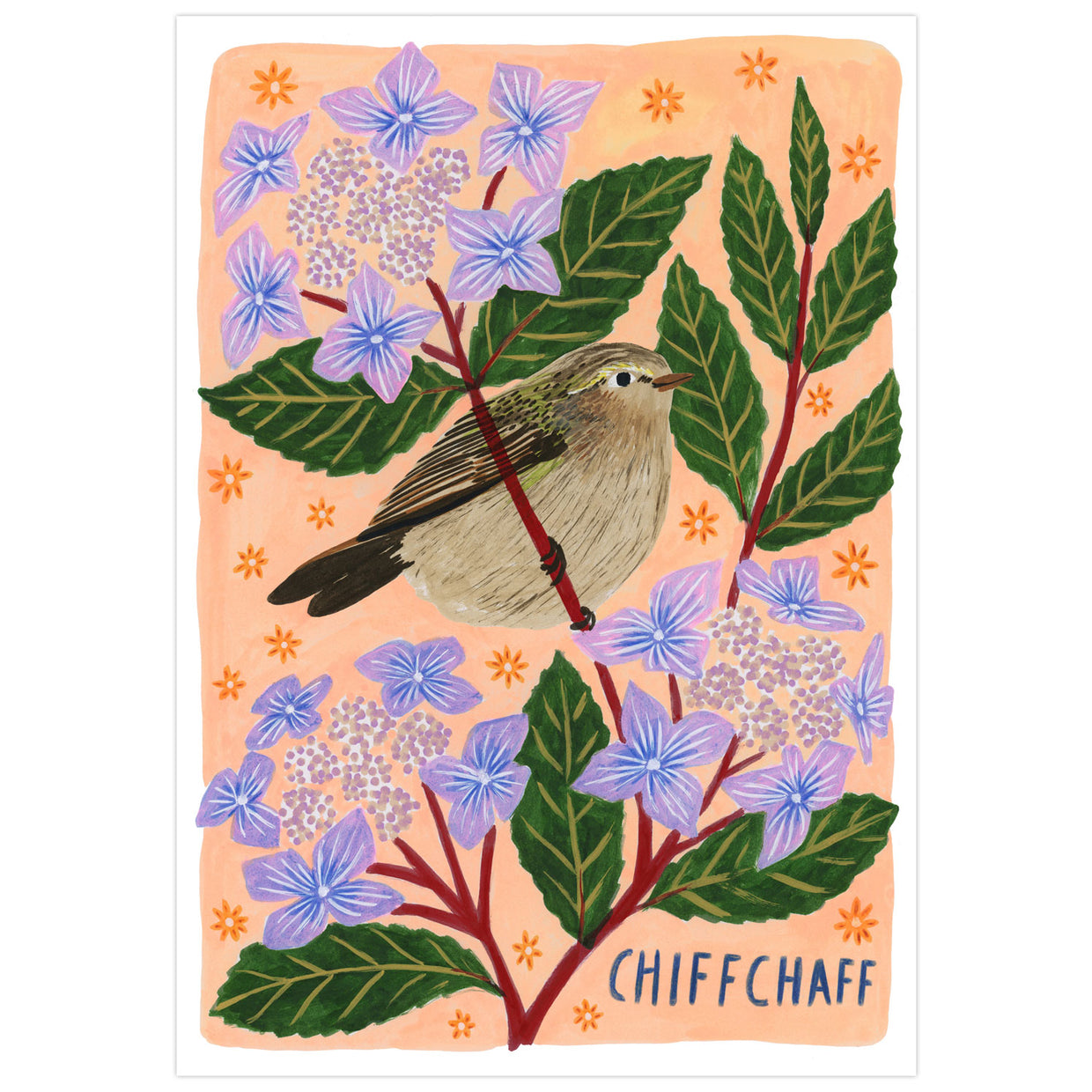 Chiffchaff Bird Art Print for Living Room